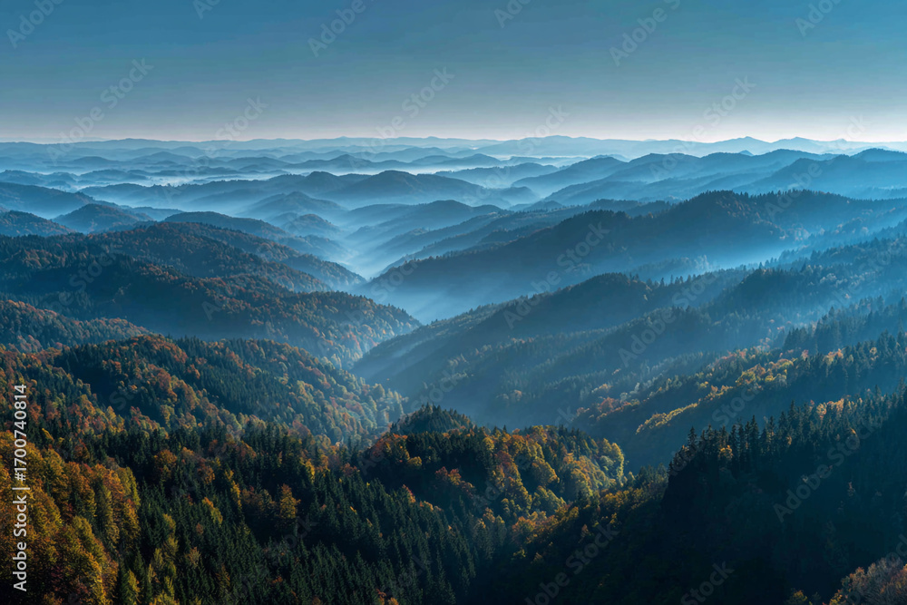 Fototapeta premium Majestic misty mountains autumnal forest scenic view vast landscape