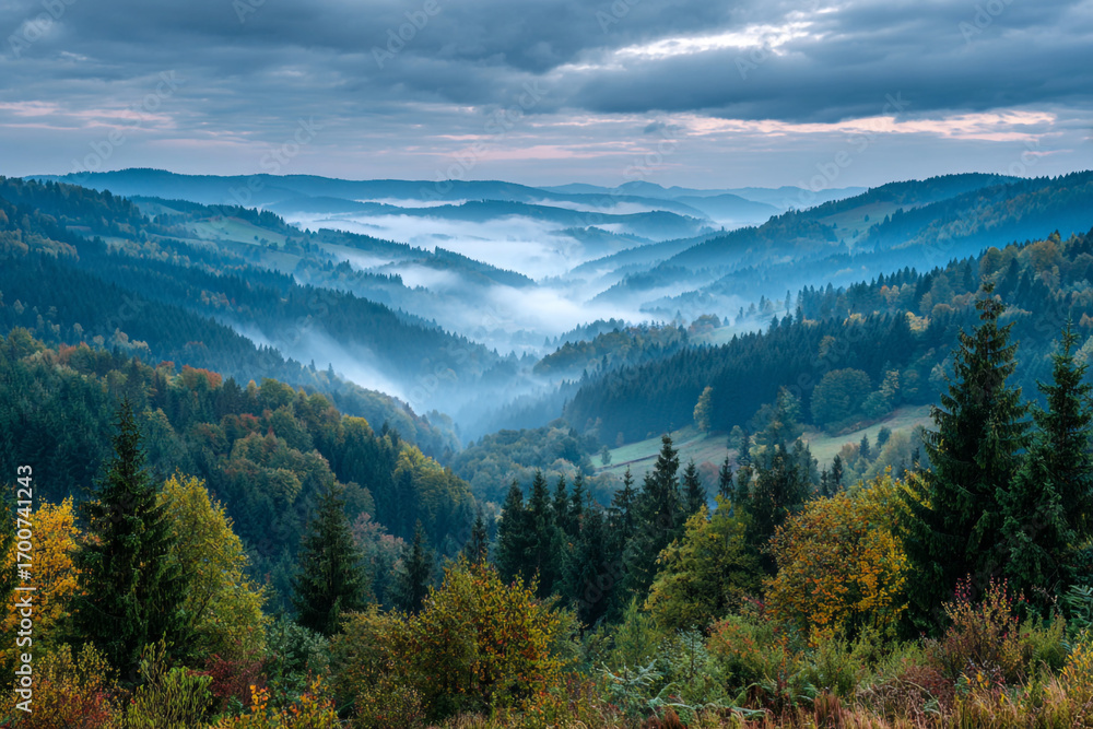Fototapeta premium Misty mountain landscape autumn forest view scenic hills rolling fog clouds sky