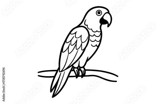 a parrot perched on branch with intricate feather details silhouette