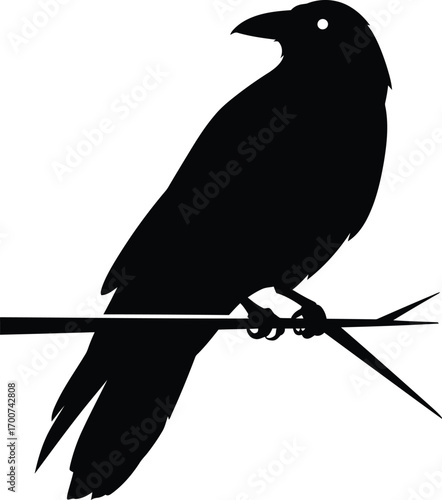 Elegant black crow silhouette perched on a branch, perfect for minimalist design, Halloween themes, and mystical branding projects, evoking a sense of mystery and intrigue