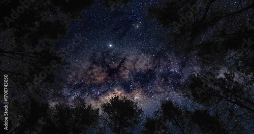 View from earth on Milky Way from forest. Timelapse shot, Earth rotation concept. Camera is zooming in, moving top right