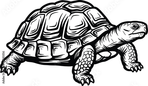 Detailed pen and ink illustration of a tortoise, perfect for logos, branding, educational materials, and nature-themed designs with elegant style