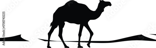 Dramatic silhouette of a camel walking across the desert landscape under a vibrant orange sky, travel inspiration