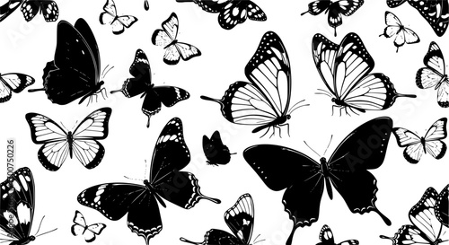 Black butterflies pattern butterfly insect