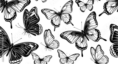 Black butterflies pattern butterfly insect
