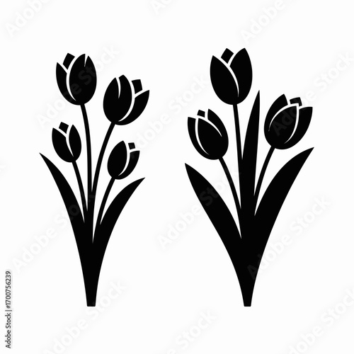 Two stylized tulip flower bouquets vector illustration for spring and floral designs white background