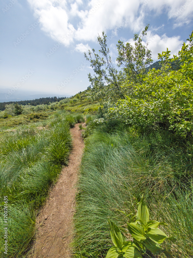 Naklejka premium Spring Panorama of Vitosha Mountain, Bulgaria