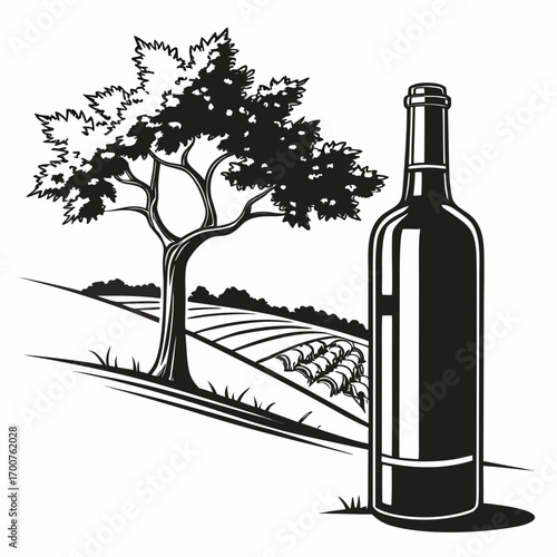 wine bottle and grapes  black and white vector 