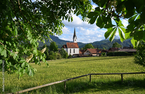 a scenic alpine view with lush green alpine meadows and an old church in the alpine village Schwangau in the Bavarian Alps on a sunny spring day (Allgaeu, Bavaria, Germany)	