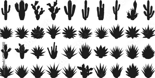 Cactus and agave plant silhouettes, desert flora illustration, botanical design elements, spiky plants, tropical greenery, succulent vector set, nature icons