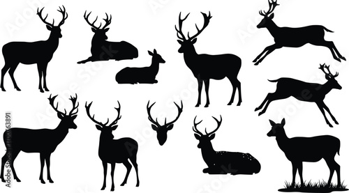 Deer silhouettes in multiple poses, wildlife illustration, antlered stag, doe, fawn, animal anatomy reference, forest nature scene, grazing, jumping, resting
