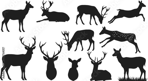 Deer silhouettes in varied poses, antlered stag, doe, fawn, wildlife illustration, forest nature scene, grazing, jumping, resting, animal anatomy reference