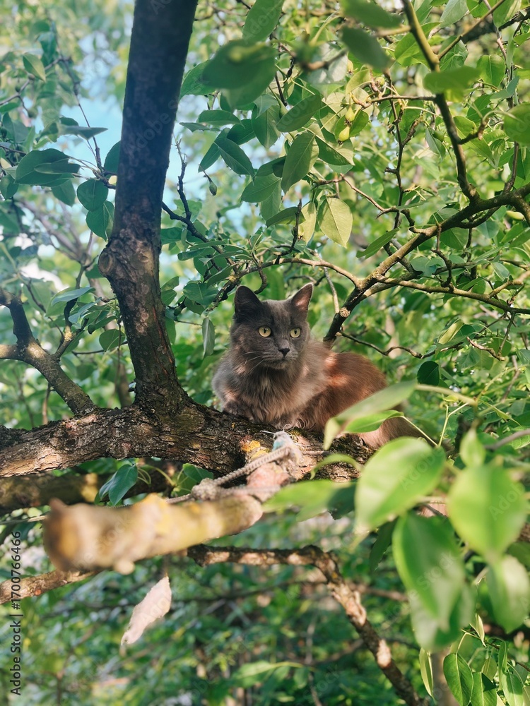 Obraz premium Cat resting on a branch in a lush green tree during a sunny day in a serene outdoor setting