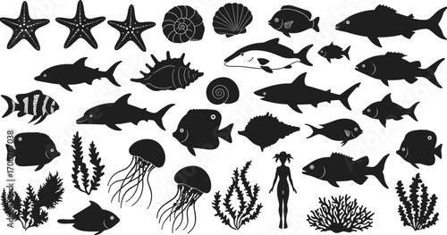 Marine life silhouettes, fish, dolphins, jellyfish, seashells, starfish, seaweed, underwater plants, ocean wildlife illustration, aquatic nature, sea creatures, diver