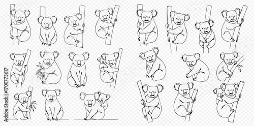 Black and white line art illustrations of cute koalas in various poses, including sitting, climbing, and with a joey.