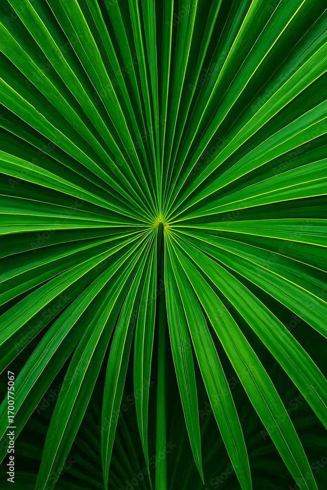 Obraz premium Vibrant Palm Leaf high quality realistic image.