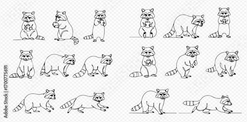 A collection of raccoon illustrations in various poses, including standing, sitting, and walking, all outlined in black.
