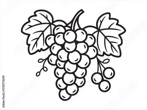 Grapes coloring page with bunch of grapes and leaves, black and white line art illustration of fruit design for kids and adults printable educational activity and creative drawing sheet