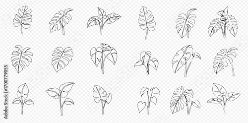 A diverse collection of minimalist line art illustrations depicting various tropical and houseplant leaves.