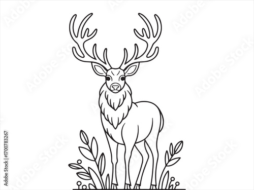 Wildlife deer coloring sheet black and white illustration for children