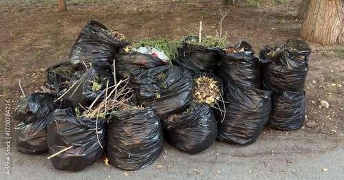 Pile of Black Garbage Bags Filled with Yard Waste
