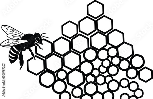 Black and white illustration of a bee hovering near a honeycomb structure.
