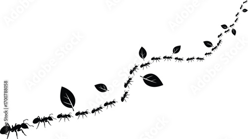 A black and white illustration depicting a long line of ants carrying leaves, forming a winding path across a white background.