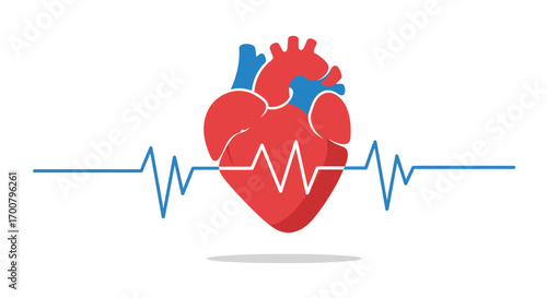 A medical illustration of a healthy human heart with a rhythmic blue electrocardiogram line