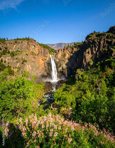 Waterfall cascading into lush valley
