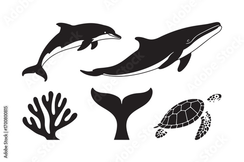 Whale dolphin turtle coral silhouette collection