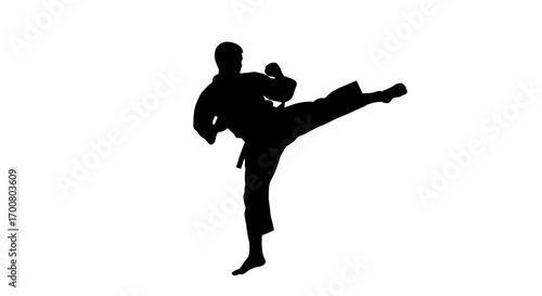 Karate fighter performing a side kick silhouette isolated on white background