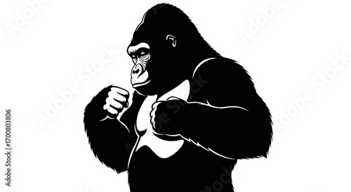 Aggressive gorilla in fighting stance silhouette isolated on white background