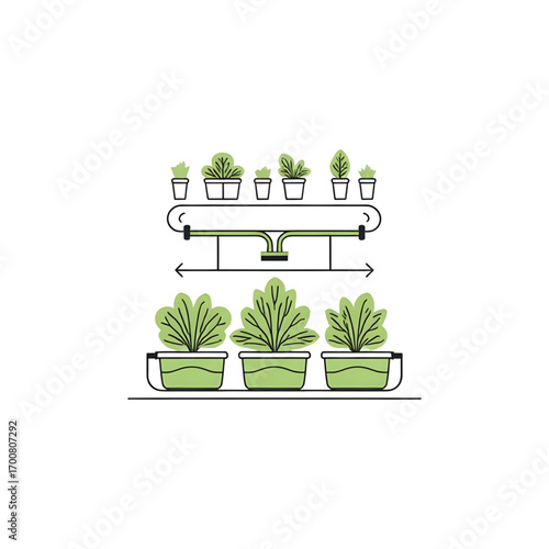 Hydroponic system growing healthy plants in pots with fresh green leaves