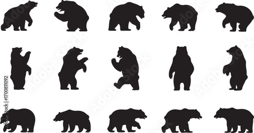 Illustration of various bear icons different bear poses and actions wildlife and animal concept vector illustration