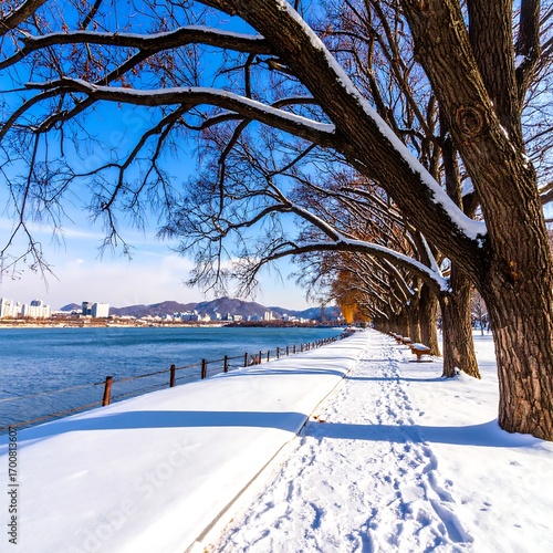 Winter wonderland by a lake