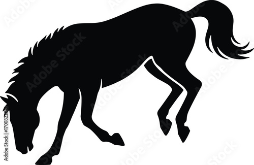 vector silhouette, bucking horse, arched back and kicked hind legs, side view, solid black