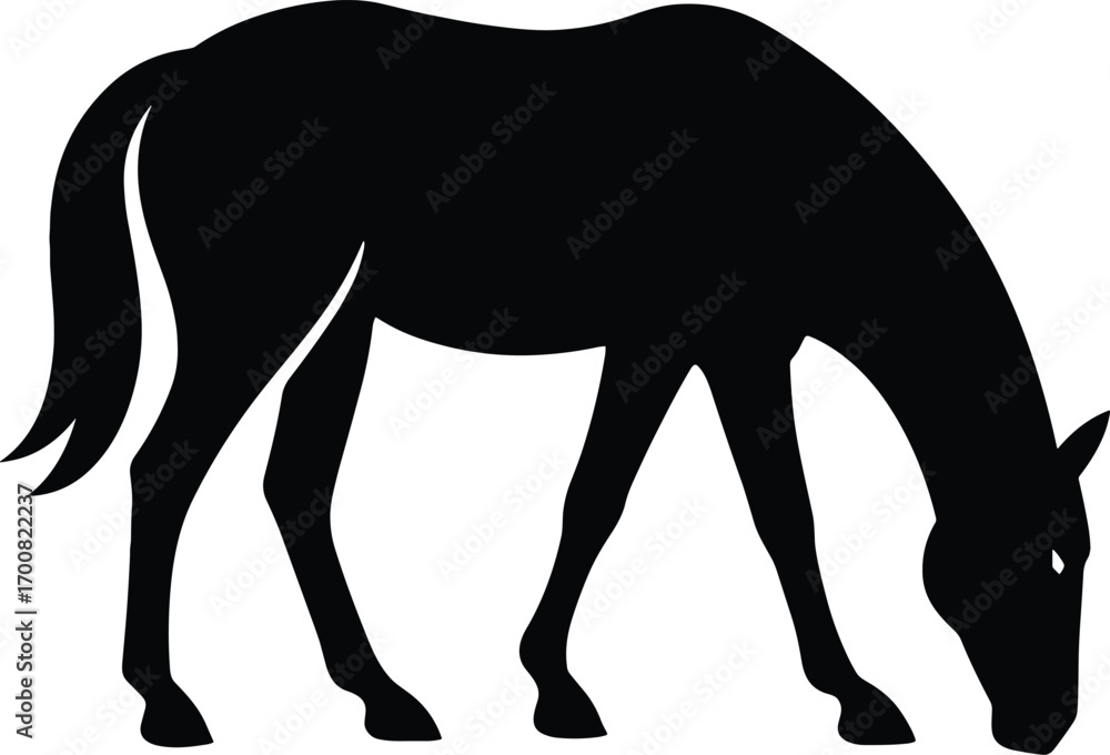 Obraz premium vector silhouette, grazing horse head down, side view, solid black