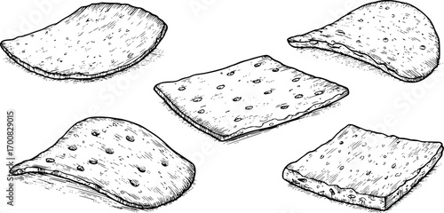vector set of cracker chips
