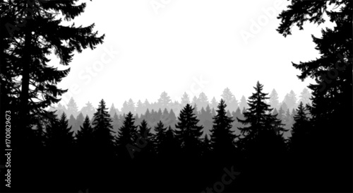vector silhouette of dark forest tree tops
