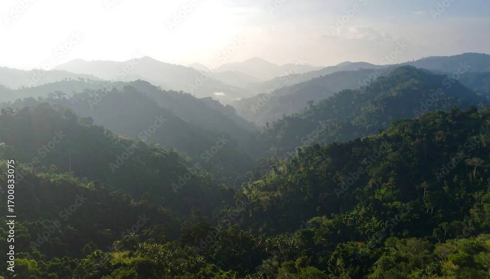 Naklejka premium Aerial view of lush green mountain range under sunlight.