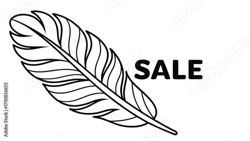 Minimalist outline a turkey feather with the word sale THANKSGIVING