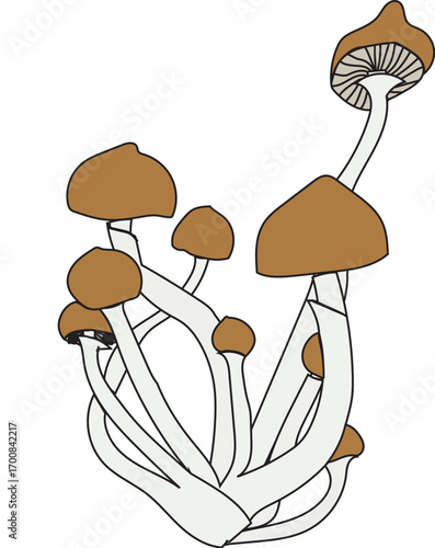 Mushrooms Vector
