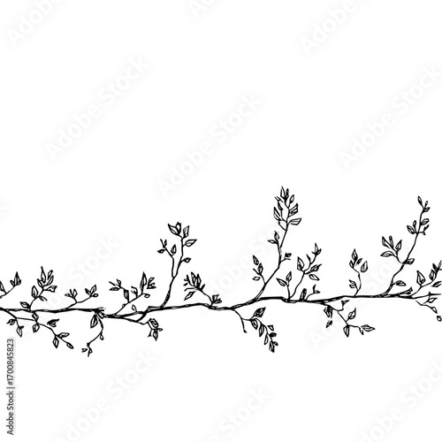 Hand drawn floral branch with leaves and stems for decorative design and nature inspired illustrations