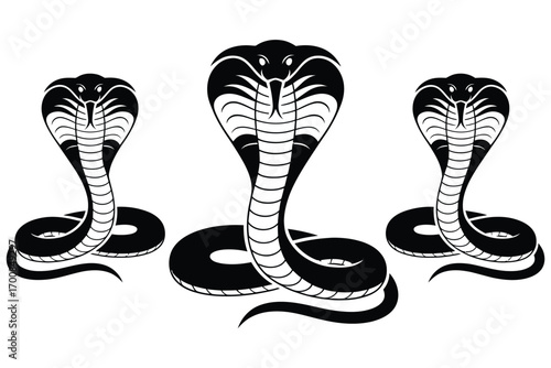 Three striking cobra snakes detailed vector illustration