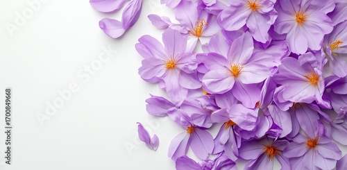 Purple Flower Petals Scattered on a White Surface Creating a Calming and Vibr...