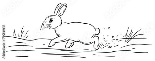 Quick brown hare sprinting through meadow — energetic wildlife sketch