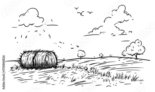 Summer hay bale resting on windswept meadow under open sky — tranquil rural scene