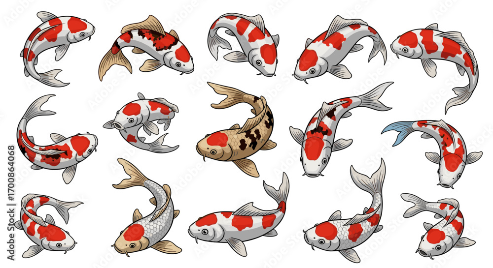 Obraz premium A collection of koi fish swimming in various directions and orientations