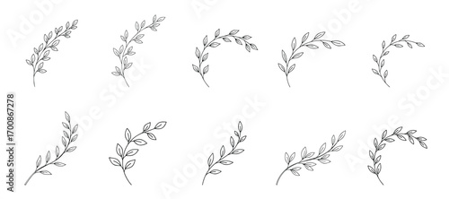 a collection of sketched fern or leaf shapes, sketchy line drawings of foliage, simple botanical illustrations, minimalist plant motifs, nature-inspired design elements, organic line art patterns