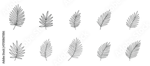 a collection of detailed sketchy line art illustrations of tropical palm tree leaves, highly detailed, intricate, pencil drawing, monochrome, black and white